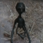 Real Alien Caught on Camera in Laguna Philippines 